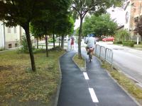 Imagine atasata: pista crisan 08.JPG
